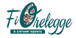 FioreLegge Logo